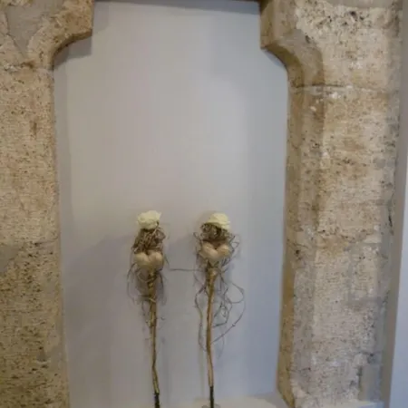 Wolke 4 4* Buren an der Aare